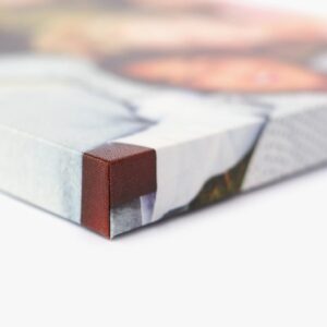Polyester Canvas (Canvas Light)